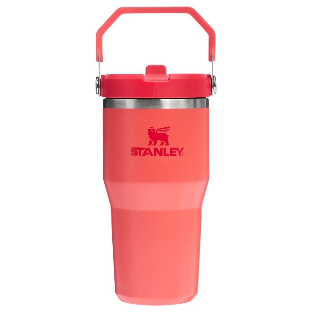 Stanley IceFlow™ Flip Straw Tumbler Pipetli Termos | 0.60 L