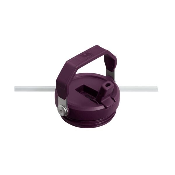 Stanley IceFlow™ Flip Straw Tumbler Pipetli Termos 0.89L Turuncu